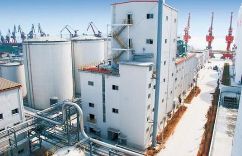 油脂廠有害氣體監(jiān)測(cè)與預(yù)防 氣體檢測(cè)儀及軟件產(chǎn)品檢驗(yàn)檢測(cè)的關(guān)鍵作用